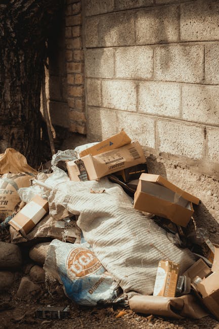 https://houseclearancecatford.co.uk/blog/same-day-rubbish-removal-catford-se6/